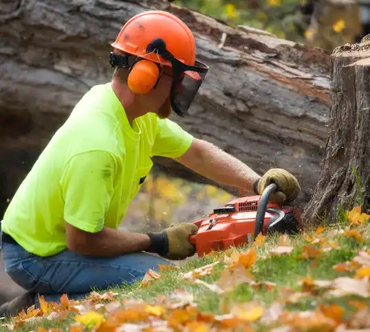 tree services Ponchatoula